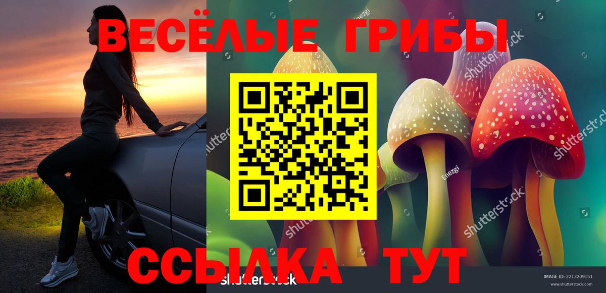 Галлюциногенные грибы мухоморы  Псилоцибиновые грибы мухоморы  Бийск  Вход с VPN 